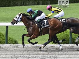 カラーパネル2021年6月20日阪神9R 鷹取特別(ゴールB)(エブリワンブラック)