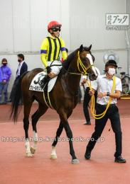 カラープリント(アルミ枠付き)2021年10月2日中京5R 2歳新馬(引き上げ)(ヴェールランス)