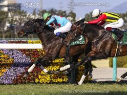 カラーパネル2022年2月27日阪神11R 阪急杯(ゴールB)(ダイアトニック)