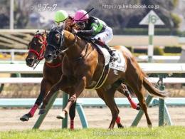 カラーパネル2022年3月6日中山6R 3歳1勝クラス(ゴールB)(アバンチュリエ)