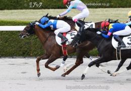 カラーパネル2022年4月2日阪神7R 4歳以上1勝クラス(ロードサージュ)