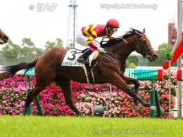 カラープリント(アルミ枠付き)2022年6月5日中京5R 2歳新馬(ゴールB)(ジョウショーホープ)