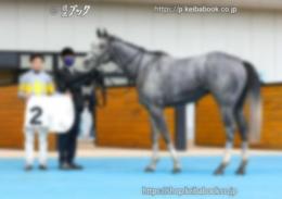 カラープリント(アルミ枠付き)2022年7月17日函館2R 3歳未勝利(口取り)(ストロンゲスト)