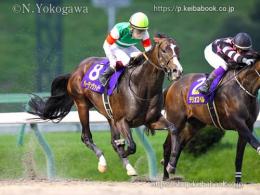 カラープリント(アルミ枠付き)2022年7月18日盛岡12R マーキュリーC(バーデンヴァイラー)写真:横川典視