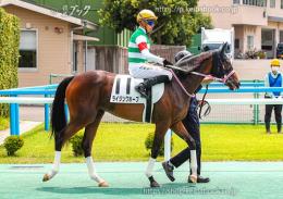 カラープリント(アルミ枠付き)2022年8月20日小倉5R 2歳新馬(出走馬)(ライジングホープ)