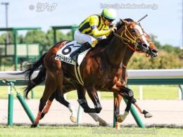 カラープリント(アルミ枠なし)2022年9月25日中京8R 3歳以上1勝クラス(ゴールB)(ヴェールランス)