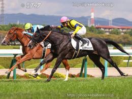 カラープリント(アルミ枠付き)2022年10月22日阪神5R 2歳新馬(ゴールB)(シングザットソング)