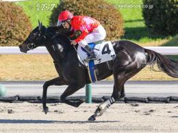 カラープリント(アルミ枠付き)2022年11月6日福島7R 3歳以上1勝クラス(ゴールB)(ナサ)