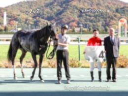 カラープリント(アルミ枠付き)2022年11月6日福島7R 3歳以上1勝クラス(口取り)(ナサ)