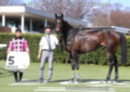 カラープリント(アルミ枠付き)2023年3月4日中山7R 3歳1勝クラス(口取りB)(ハチメンロッピ)