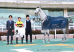 カラープリント(アルミ枠なし)2023年3月5日阪神6R 4歳以上1勝クラス(口取り)(エメヴィベール)