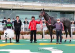 カラープリント(アルミ枠付き)2023年3月18日阪神2R 3歳未勝利(口取りA)(ミスティックロア)