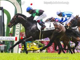 カラーパネル2023年5月21日京都8R 4歳以上1勝クラス(ゴールB)(クロニクルノヴァ)