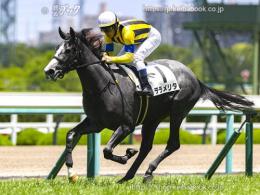 カラーパネル2023年6月3日阪神5R 2歳新馬(ゴールB)(テラメリタ)