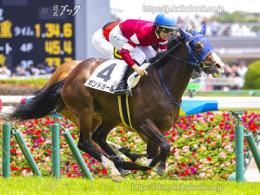カラープリント(アルミ枠なし)2023年6月4日東京5R 2歳新馬(ゴールB)(ボンドガール)