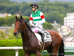 カラープリント(アルミ枠なし)2023年6月11日阪神5R 2歳新馬(引き上げ)(ミルテンベルク)