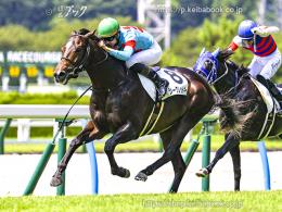 カラープリント(アルミ枠付き)2023年8月19日小倉5R 2歳新馬(ゴールB)(シークレットキー)