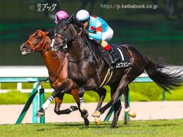 カラープリント(アルミ枠なし)2023年9月16日阪神11R ケフェウスステークス(ゴールB)(エピファニー)