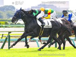 カラープリント(アルミ枠付き)2023年9月17日中山2R 2歳未勝利(ゴールB)(レイデラルース)