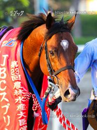 カラープリント(アルミ枠なし)2023年11月3日大井10R JBCスプリント(顔)(イグナイター)