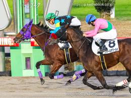 カラーパネル2023年12月3日中山12R 3歳以上2勝クラス(ゴールB)(シゲルファンノユメ)