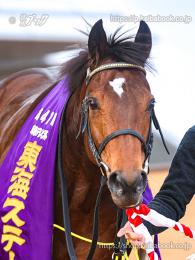 カラーパネル2024年1月21日京都11R 東海S(顔)(ウィリアムバローズ)