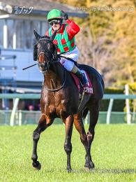 カラープリント(アルミ枠付き)2024年3月3日中山11R 弥生賞ディープ記念(引き上げ)(コスモキュランダ)