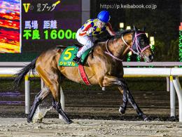 カラーパネル2024年5月1日船橋11R かしわ記念(ゴールB)(シャマル)