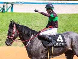 カラープリント(アルミ枠付き)2024年5月25日京都10R 桃山ステークス(引き上げA)(ミスティックロア)