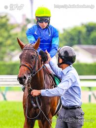 カラープリント(アルミ枠付き)2024年6月30日福島11R ラジオNIKKEI賞(引き上げ)(オフトレイル)