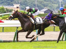 カラーパネル2024年7月6日福島4R 3歳未勝利(ゴールB)(シンハナーダ)