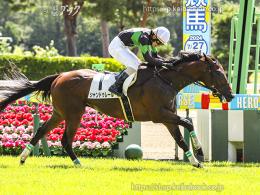 カラープリント(アルミ枠付き)2024年8月17日新潟1R 3歳以上障害未勝利(ゴールB)(シャンドゥレール)