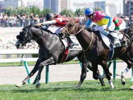 カラーパネル2024年8月24日札幌7R 3歳以上1勝クラス(ゴールB)(ウインアクトゥール)