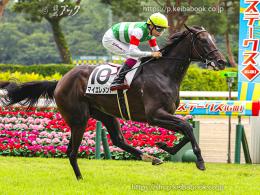 カラーパネル2024年8月25日新潟6R 2歳新馬(ゴールB)(マイエレメント)