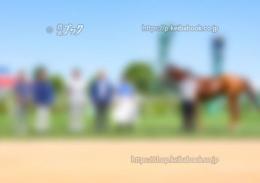 カラープリント(アルミ枠付き)2024年9月1日札幌3R 3歳未勝利(口取り)(サンキャメロン)