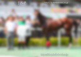 カラープリント(アルミ枠なし)2024年9月8日中京7R 3歳以上1勝クラス(口取りA)(リューデスハイム)