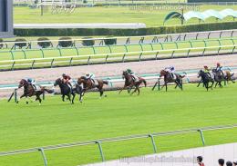 カラープリント(アルミ枠付き)2024年9月8日中山5R 2歳新馬(ゴールB)(ファンダム)