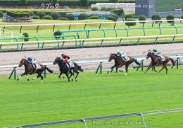 カラープリント(アルミ枠付き)2024年9月8日中山5R 2歳新馬(ゴールC)(ファンダム)