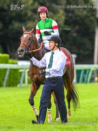 カラーパネル2024年9月22日中山11R オールカマー(引き上げ)(レーベンスティール)