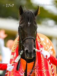 カラーパネル2024年9月29日中山11R スプリンターズS(顔)(ルガル)