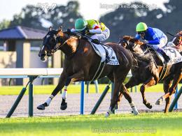 カラープリント(アルミ枠付き)2024年10月12日京都12R 3歳以上2勝クラス(ゴールB)(オックスリップ)