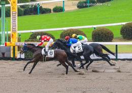 カラープリント(アルミ枠付き)2024年11月2日福島1R 2歳未勝利(成績)(レッドベルダンス)