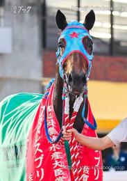 カラープリント(アルミ枠なし)2024年11月4日佐賀10R JBCスプリント(顔)(タガノビューティー)