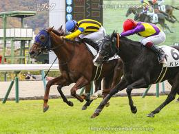 カラープリント(アルミ枠付き)2024年11月17日福島8R 3歳以上1勝クラス(ティンク)