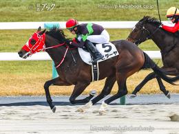 カラープリント(アルミ枠付き)2024年12月21日京都8R 3歳以上1勝クラス(ゴールB)(ビダーヤ)