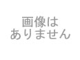 カラープリント(アルミ枠付き)1998年9月5日札幌11R HTB賞(ナギサ)