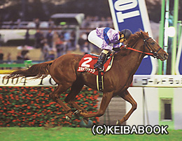 カラープリント(アルミ枠付き)2004年11月13日東京11R 京王杯2歳ステークス(スキップジャック)
