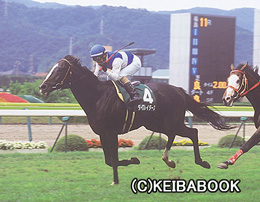カラープリント(アルミ枠付き)2005年7月10日福島11R 七夕賞(ダイワレイダース)