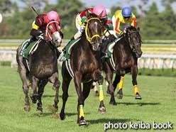 カラープリント(アルミ枠付き)2010年9月5日新潟11R 新潟2歳ステークス(マイネイサベル)