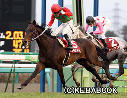 カラープリント(アルミ枠付き)2012年3月4日中山11R 弥生賞(コスモオオゾラ)